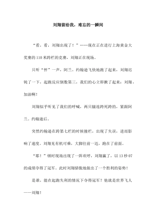 刘翔留给我-难忘的一瞬间