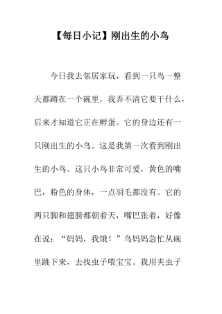 刚出生的小鸟
