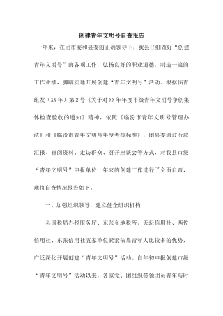 创建青年文明号自查报告