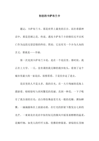 初恋的卡萨布兰卡