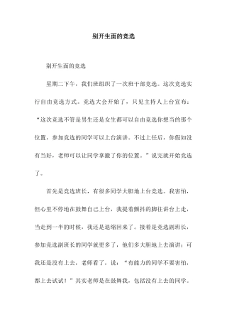 别开生面的竞选-2