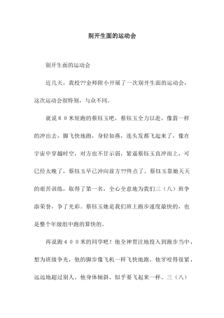 别开生面的运动会