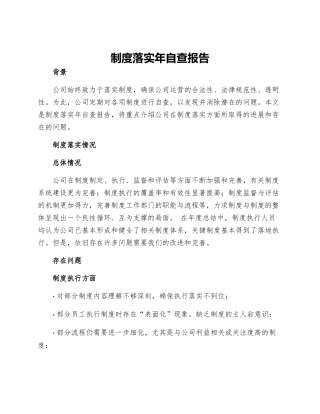 制度落实年自查报告