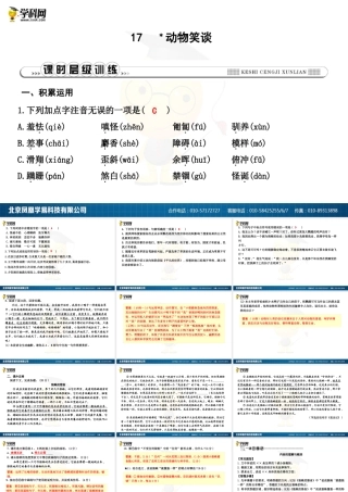 动物笑谈课件