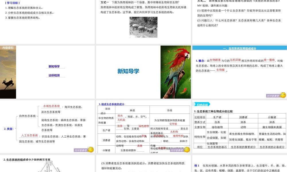 生态系统的结构（步步高）