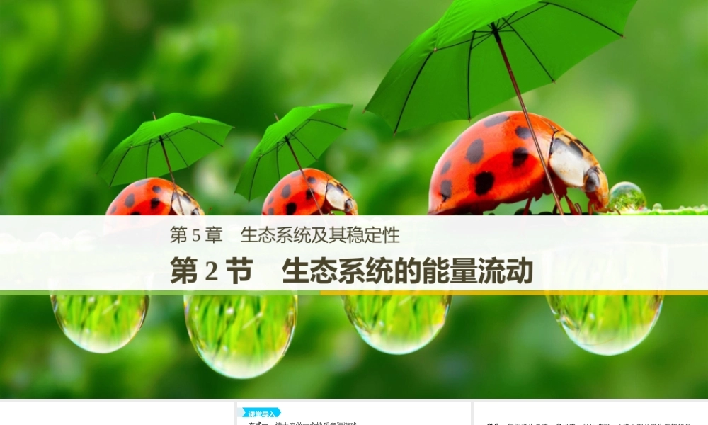 生态系统的能量流动（步步高）