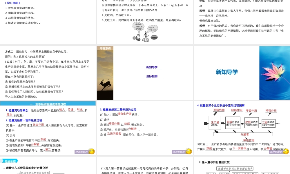 生态系统的能量流动（步步高）