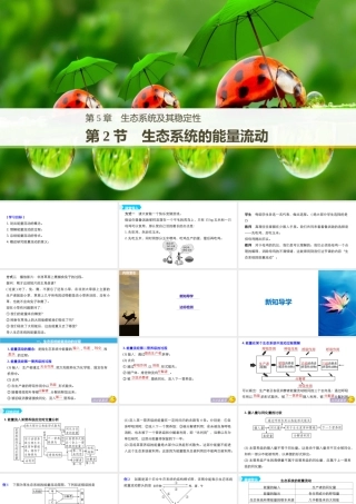 生态系统的能量流动（步步高）