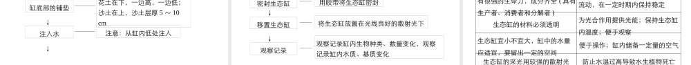 生态系统的稳定性（步步高）