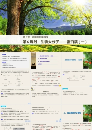 生物大分子——蛋白质(一)（步步高）