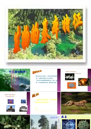 生物的基本特征 课件（济南版七年级上） (共21张PPT)
