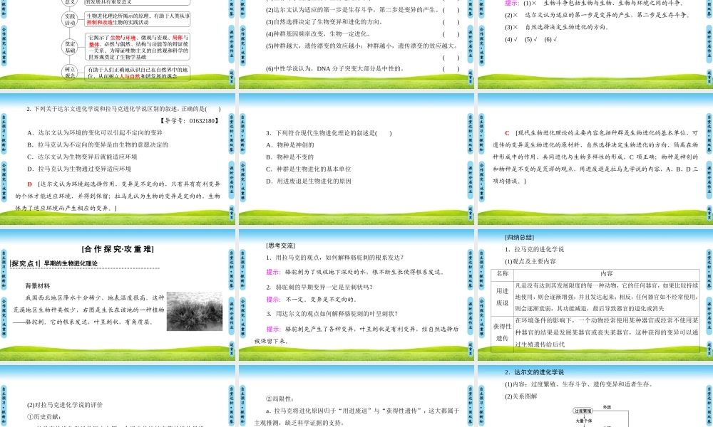 生物进化理论