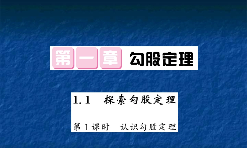 探索勾股定理（1）