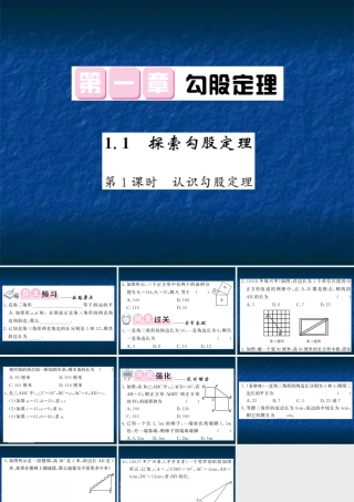 探索勾股定理（1）