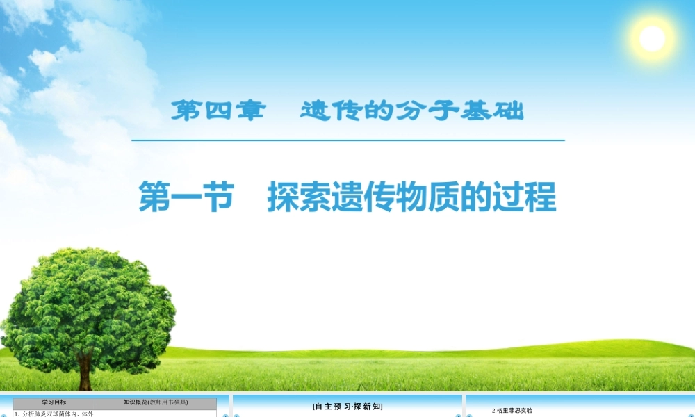 探索遗传物质的过程