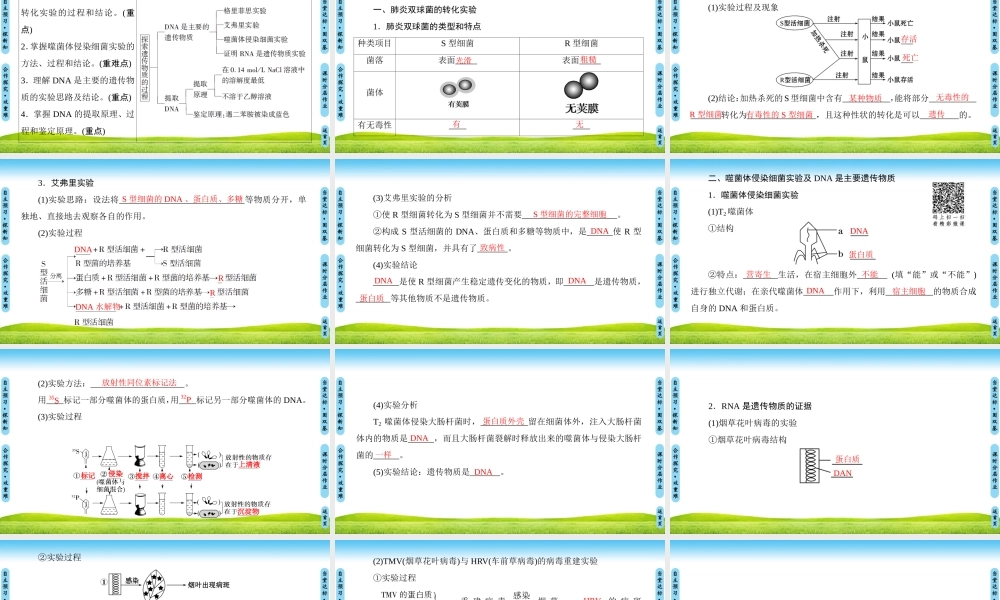 探索遗传物质的过程
