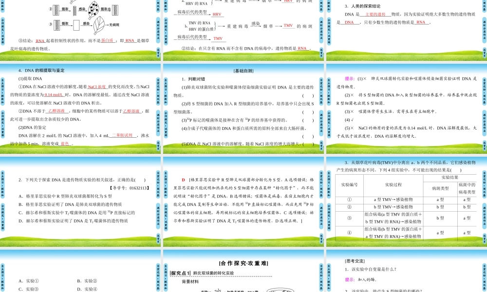 探索遗传物质的过程