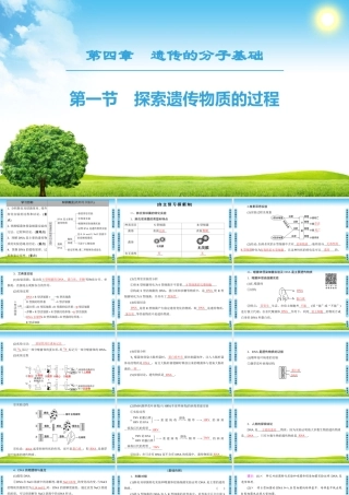 探索遗传物质的过程