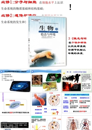 细胞的内环境与稳态 (共51张PPT)