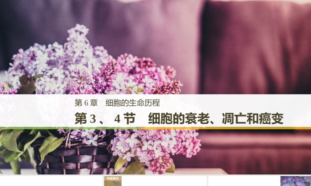 细胞的衰老、凋亡和癌变（步步高）