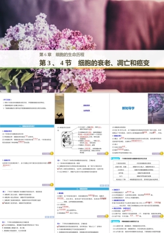 细胞的衰老、凋亡和癌变（步步高）