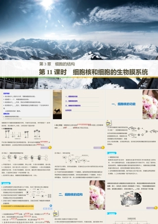 细胞核和细胞的生物膜系统（步步高）
