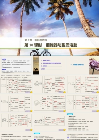 细胞器与胞质溶胶（步步高）