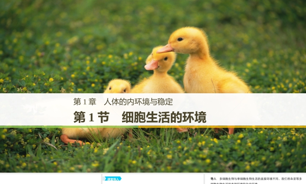 细胞生活的环境