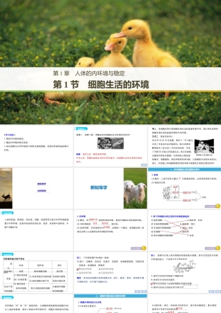 细胞生活的环境