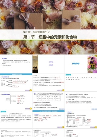 细胞中的元素和化合物（步步高）