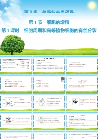 细胞周期和高等植物细胞的有丝分裂