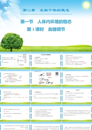 血糖调节培训课件