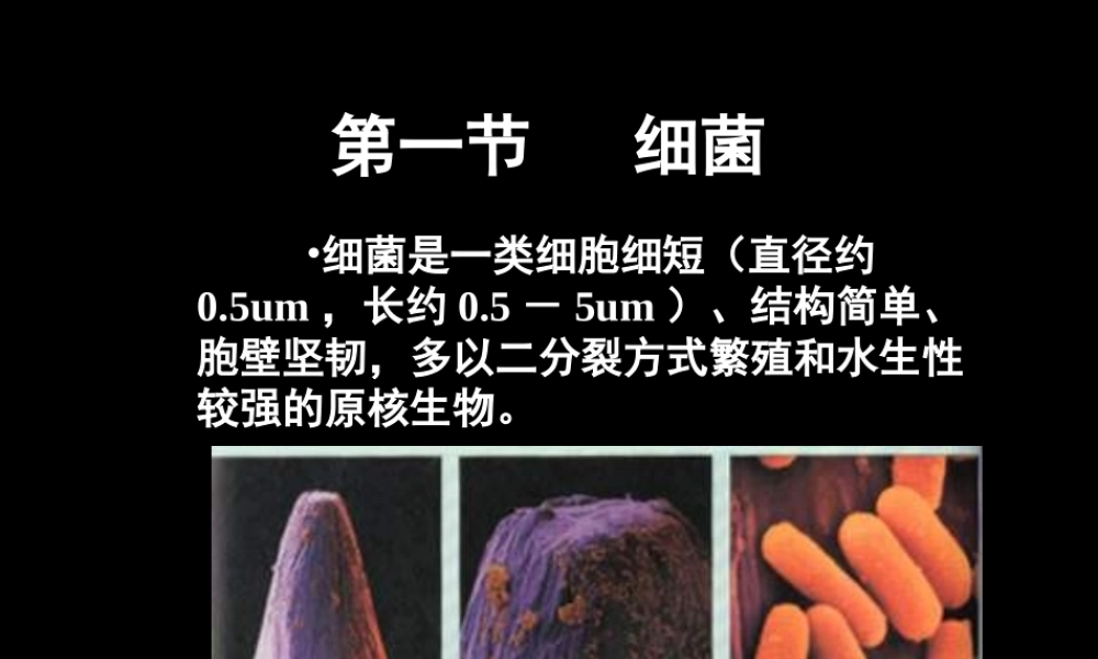 原核生物的形态和构造第一节细菌