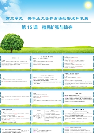 殖民扩张与掠夺