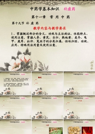 中医药学概论21中药学基本知识补虚药1002