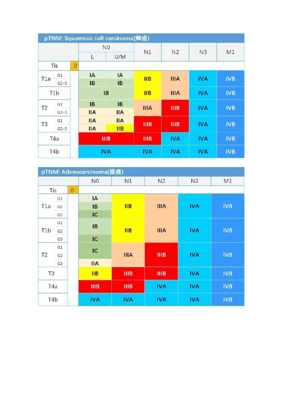 分期手册  AJCC第8版食管及食管胃结合部癌TNM分期图谱_第3页