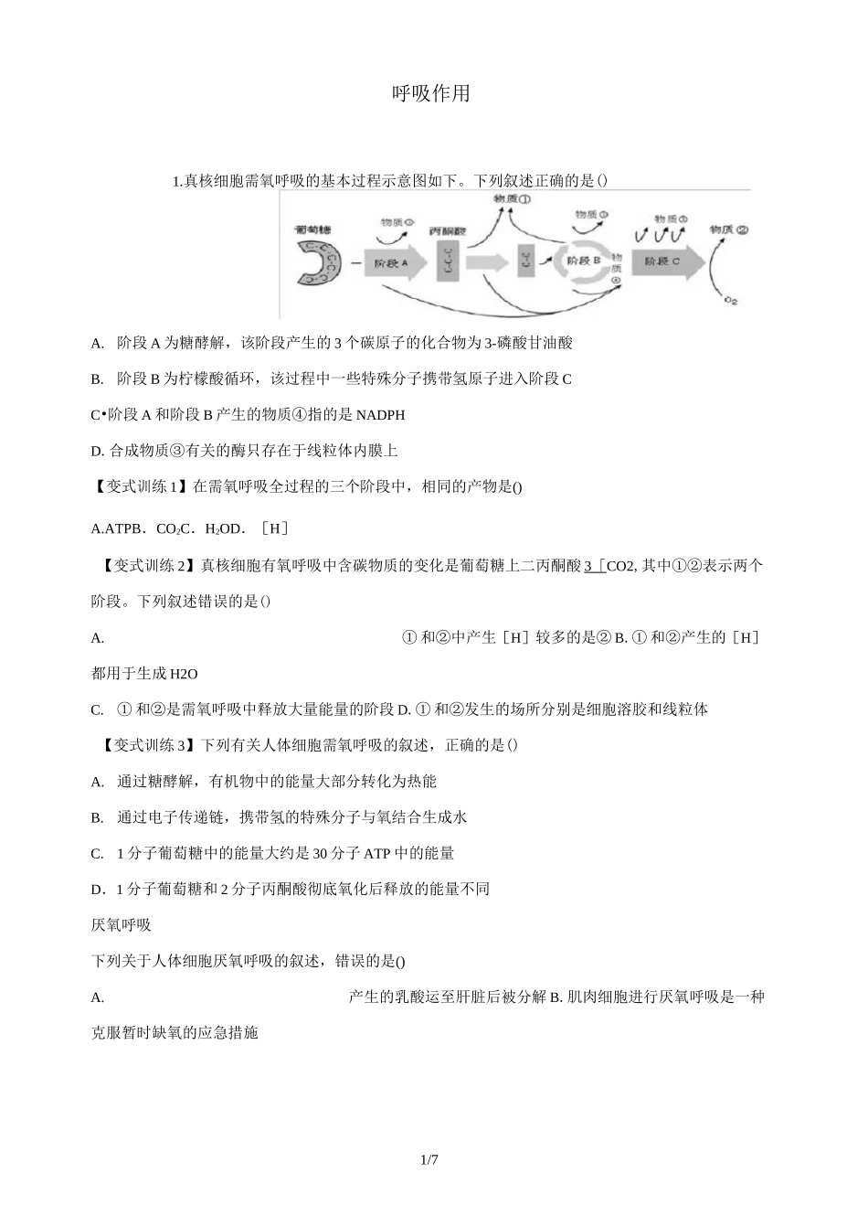 高中生物必修一呼吸作用_第1页