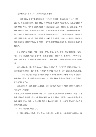 苏宁易购的发展背景