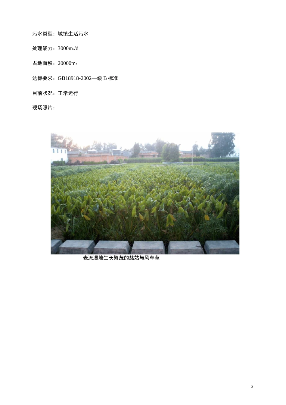 人工湿地污水处理工程案例汇集_第2页