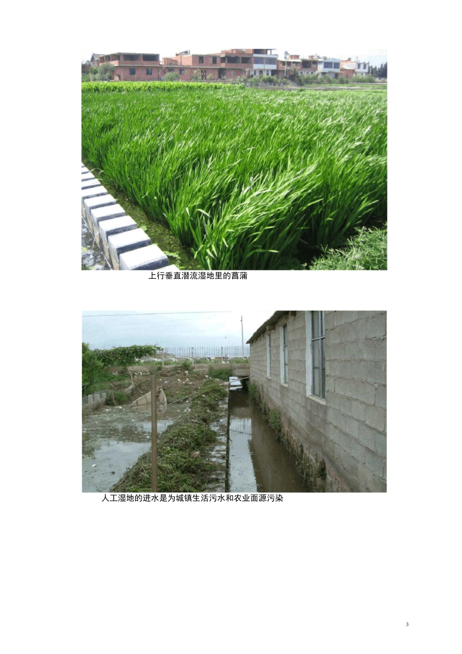 人工湿地污水处理工程案例汇集_第3页