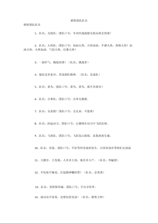 销售团队队名