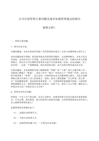 公司目前管理主要问题及逐步加强管理建议的报告综述