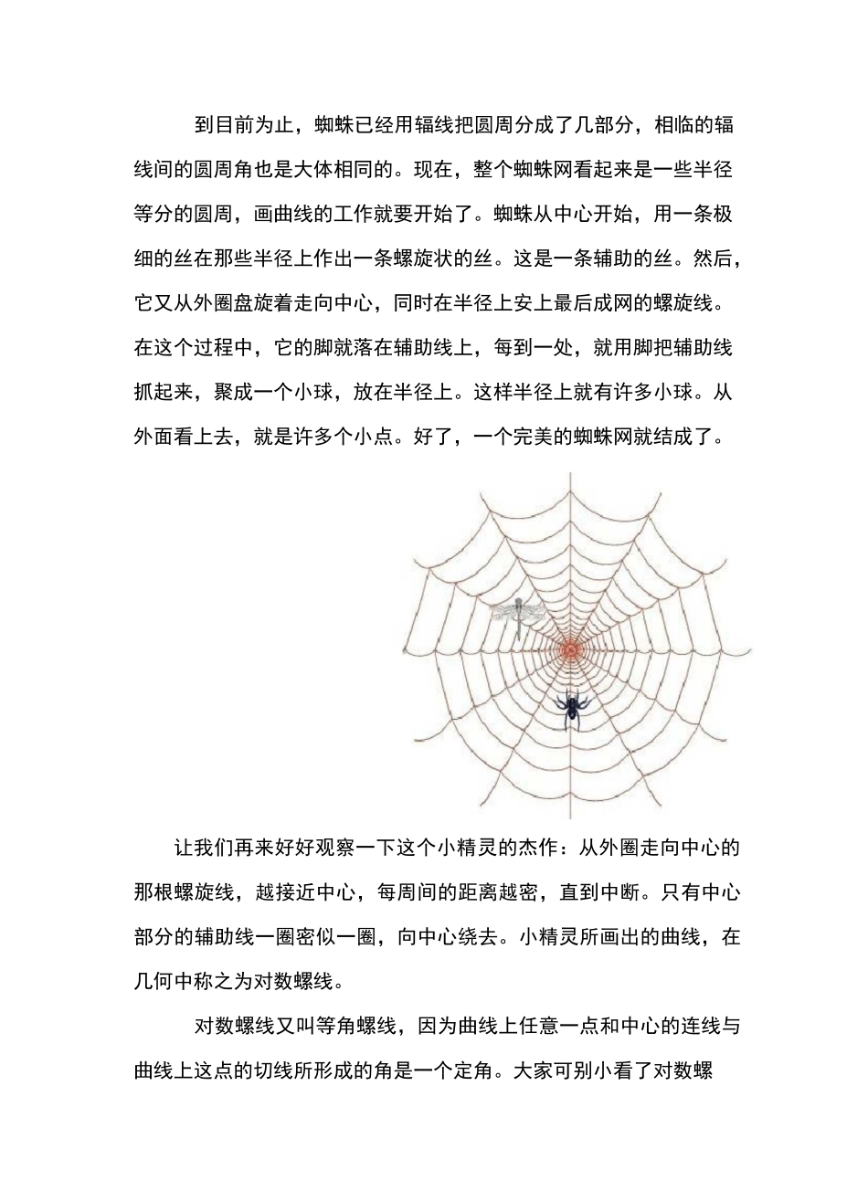 自然界中的神奇数学_第2页