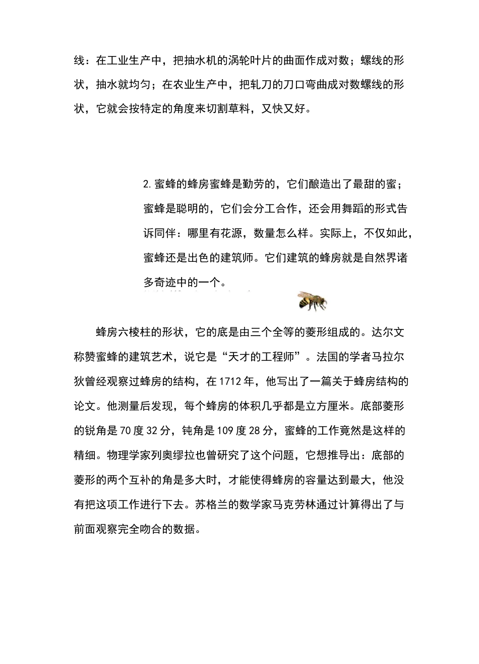 自然界中的神奇数学_第3页