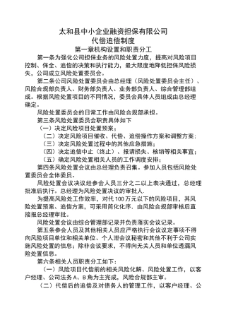 4代偿追偿制度