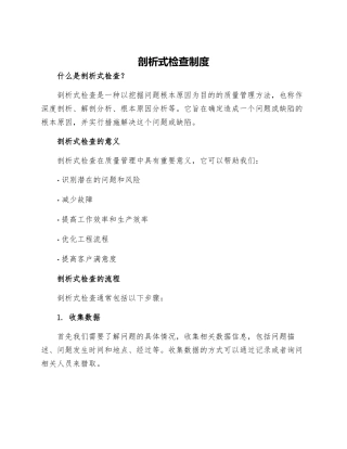 剖析式检查制度