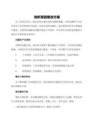 剖析原因整改方案