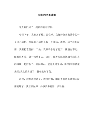 剪坏的羽毛球拍