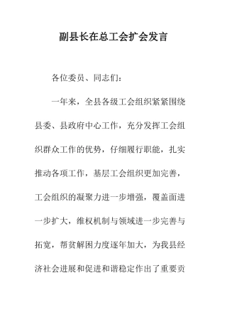 副县长在总工会扩会发言--精编范文