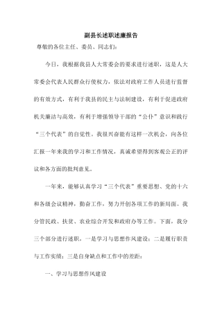 副县长述职述廉报告